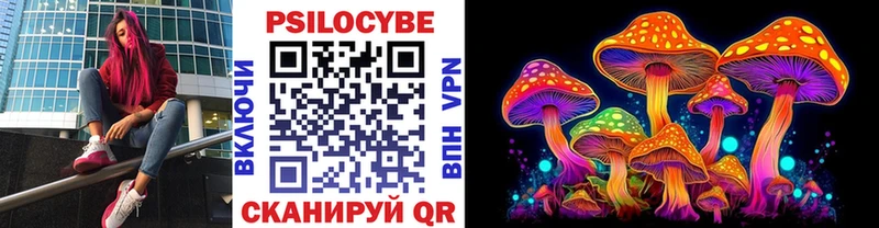 наркошоп  Енисейск  Псилоцибиновые грибы Psilocybine cubensis 